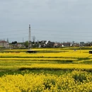 汉中旅游 缩略图 6