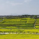 汉中旅游 缩略图 7