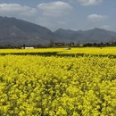 汉中旅游 缩略图 3