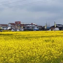 汉中旅游 缩略图 13