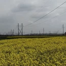 汉中旅游 缩略图 4