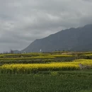 汉中旅游 缩略图 10