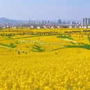 汉中旅游 缩略图 6