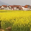 汉中旅游 缩略图 9