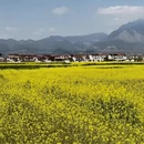 汉中旅游 缩略图 5