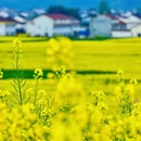 汉中旅游 缩略图 2
