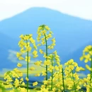 汉中旅游 缩略图 7