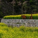 汉中旅游 缩略图 3