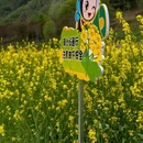 汉中旅游 缩略图 2
