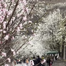 阿坝旅游 缩略图 10