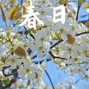 石家庄旅游 缩略图 4