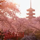 武汉旅游 缩略图 6