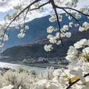 阿坝旅游 缩略图 10