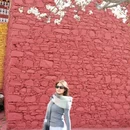 阿坝旅游 缩略图 17