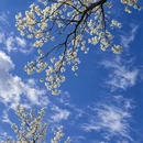 阿坝旅游 缩略图 2
