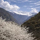 阿坝旅游 缩略图 3