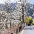 阿坝旅游 缩略图 16