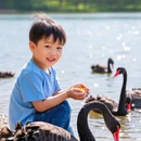 南京旅游 缩略图 2