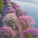 武汉旅游 缩略图 5