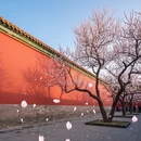 北京旅游 缩略图 9