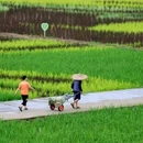 重庆旅游 缩略图 10