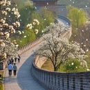 扬州旅游 缩略图 3