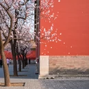 北京旅游 缩略图 6