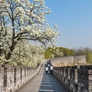 扬州旅游 缩略图 2