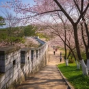 南京旅游 缩略图 9