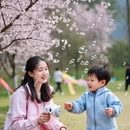 南京旅游 缩略图 6