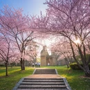 南京旅游 缩略图 10