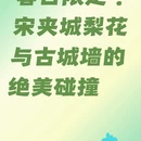 扬州旅游 缩略图 1