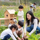 重庆旅游 缩略图 5
