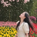 上海旅游 缩略图 4