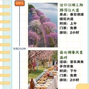 武汉旅游 缩略图 2