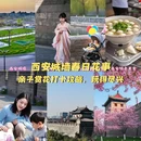 西安旅游 缩略图 1