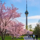 北京旅游 缩略图 6