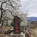 阿坝旅游 缩略图 12