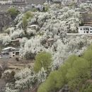 阿坝旅游 缩略图 2