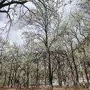 阿坝旅游 缩略图 4