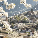 阿坝旅游 缩略图 4