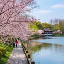 杭州旅游 缩略图 3