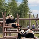 苏州旅游 缩略图 8
