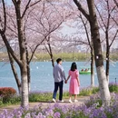 南京旅游 缩略图 11