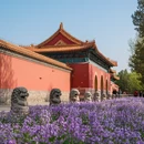 南京旅游 缩略图 5