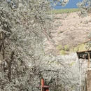 阿坝旅游 缩略图 5