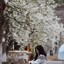 阿坝旅游 缩略图 8