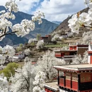 阿坝旅游 缩略图 5