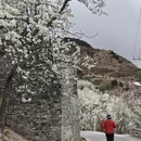 阿坝旅游 缩略图 6