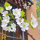 阿坝旅游 缩略图 2